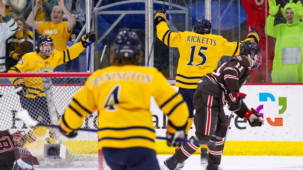 Men's ice hockey players and fans throw their arms up and cheer in celebration during a game