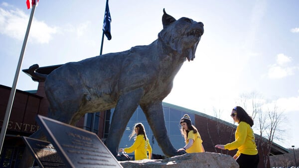 Three students rub the paw of the bobcat statue on the York Hill Campus