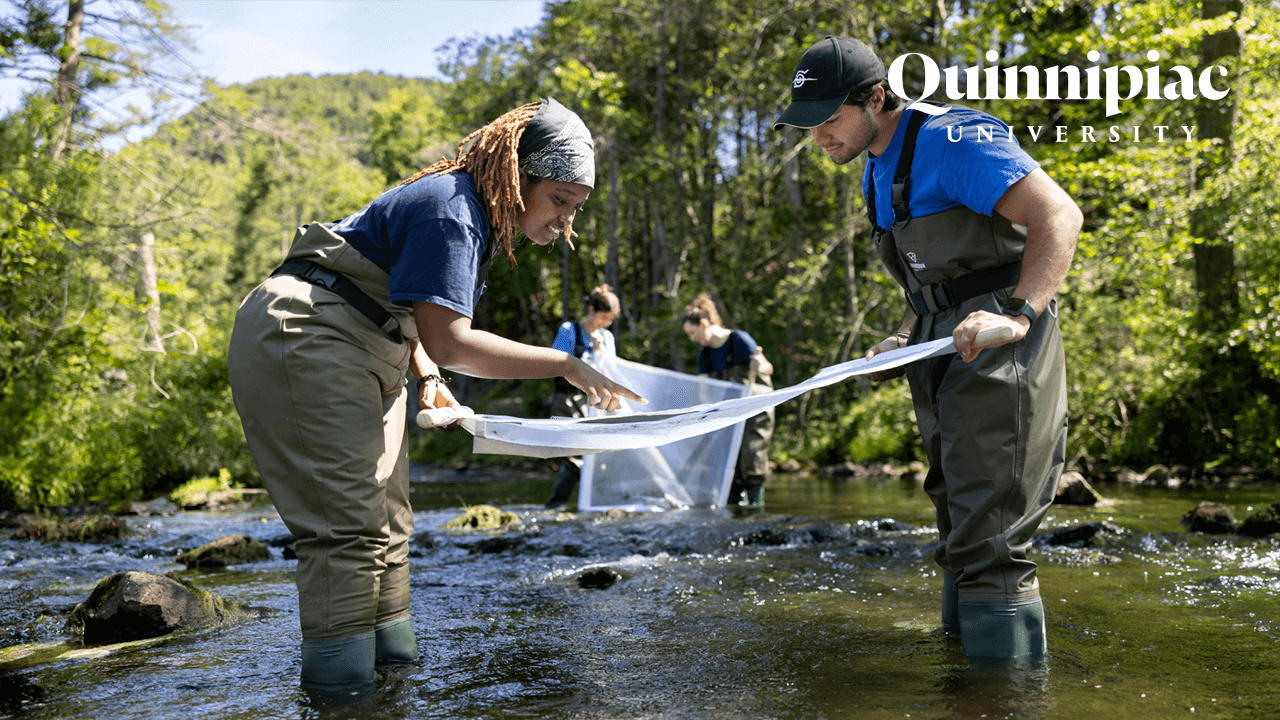 For the Ambitious, A Campaign for the Next Century of Quinnipiac video